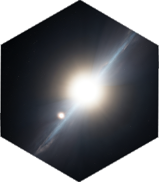 Procyon